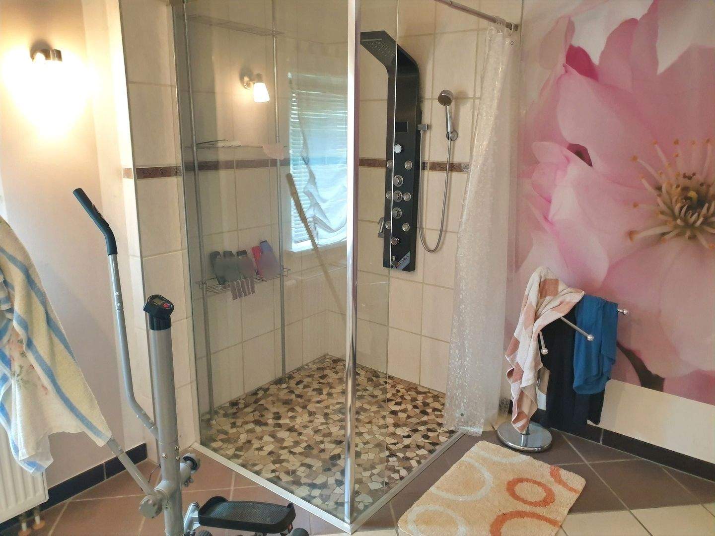 Bild 11
