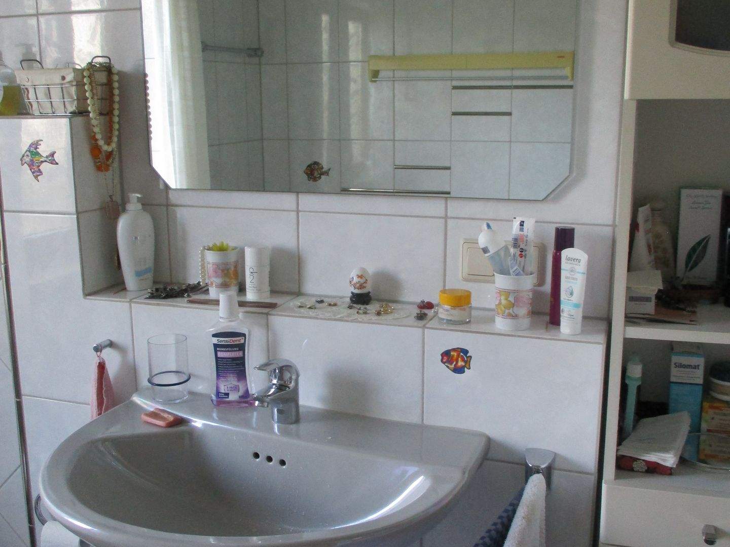 Bild 5