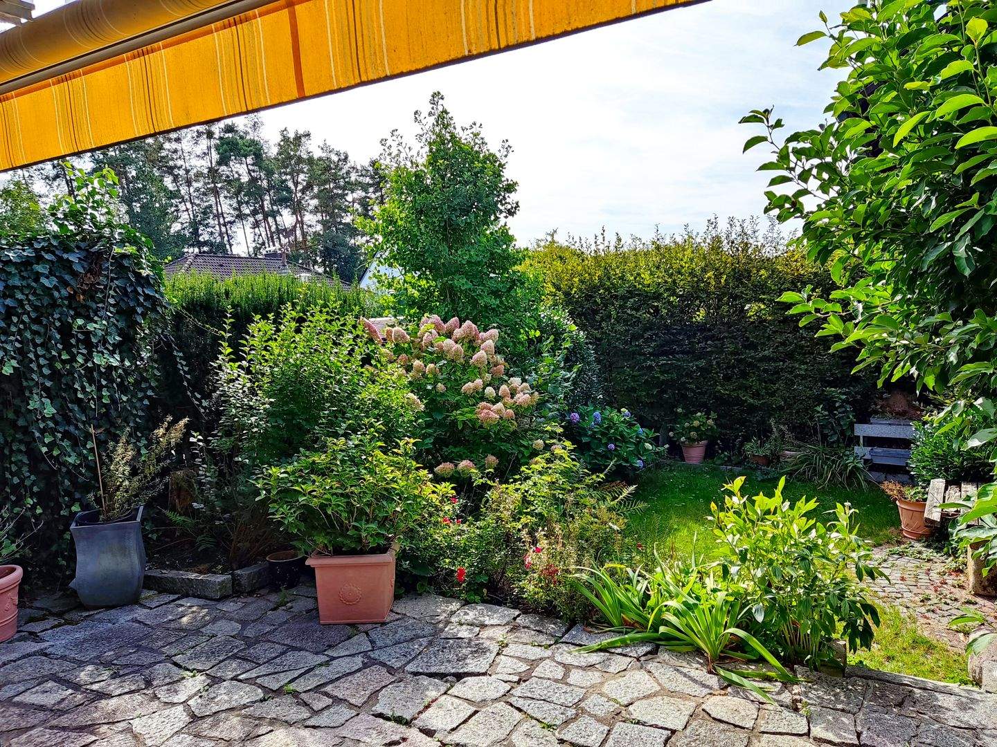 Bild 5