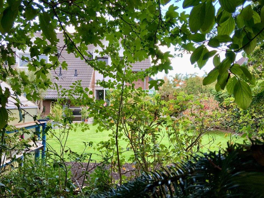 Bild 8