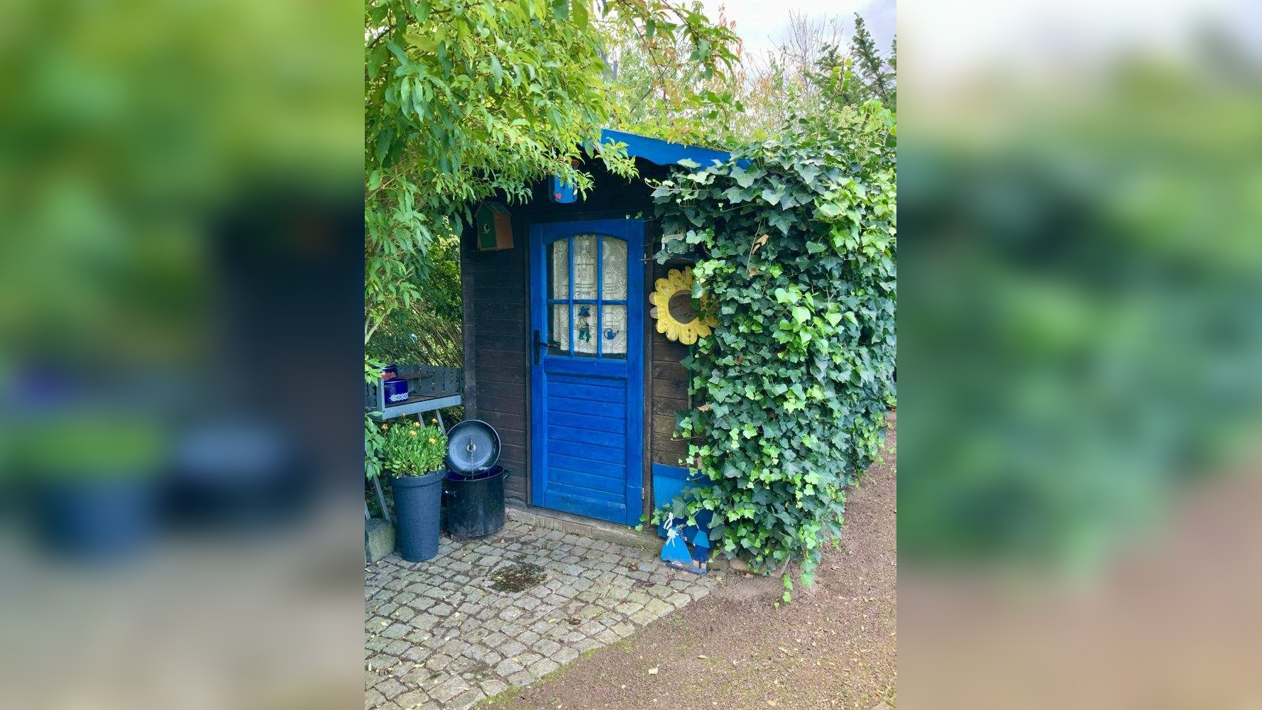 Bild 11