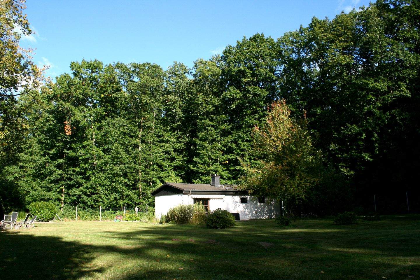 Bild 7