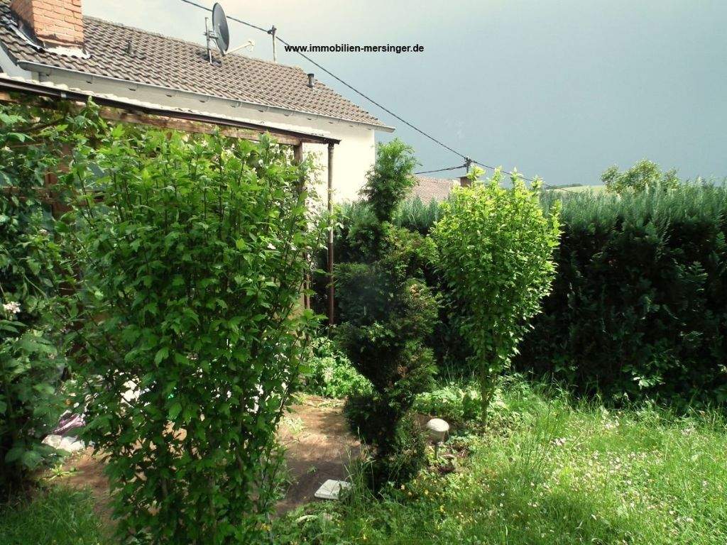 Bild 7