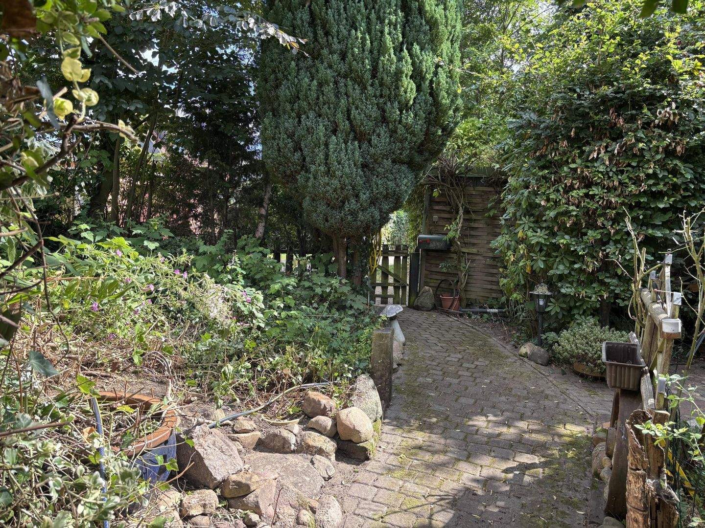 Bild 6