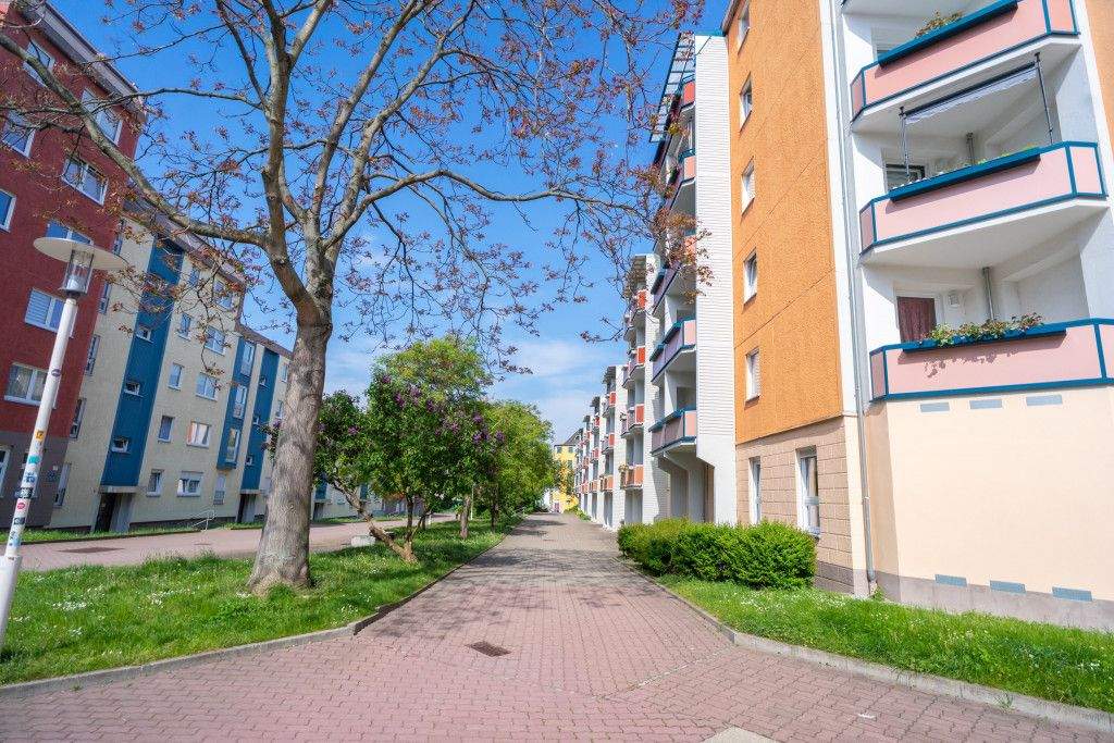Bild 8