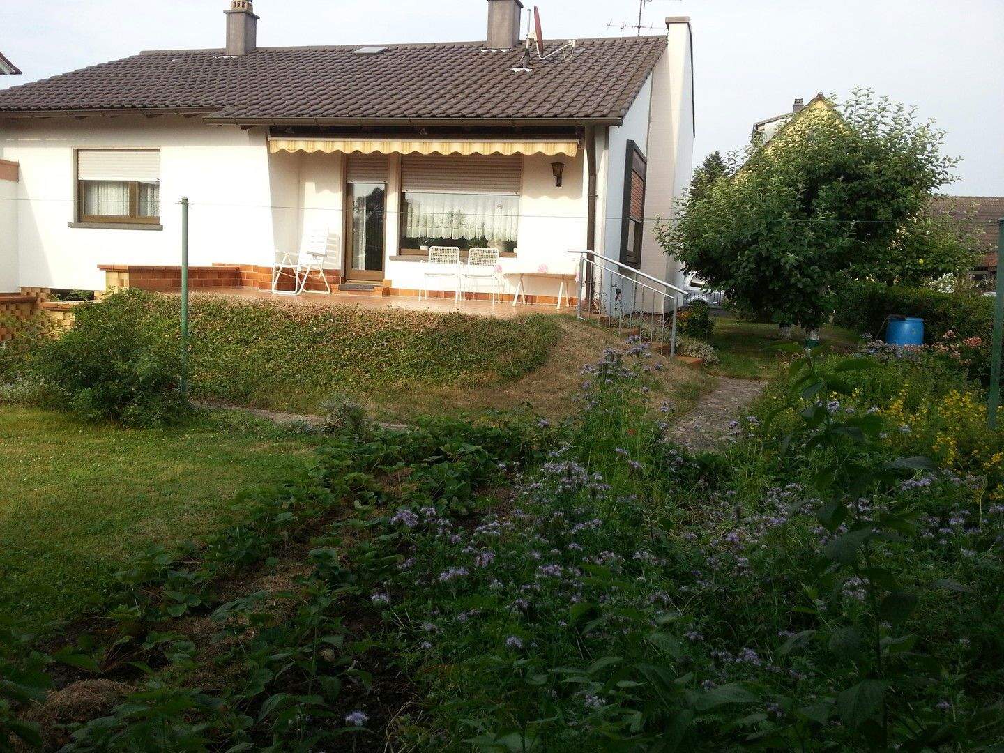 Bild 3