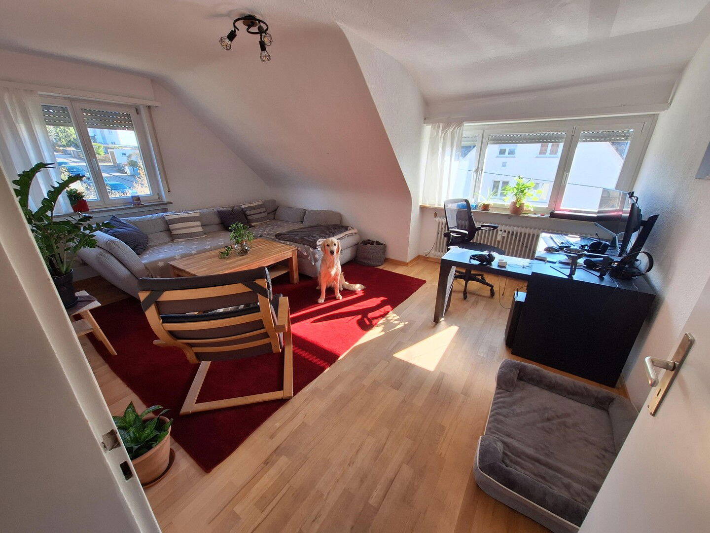 Bild 11