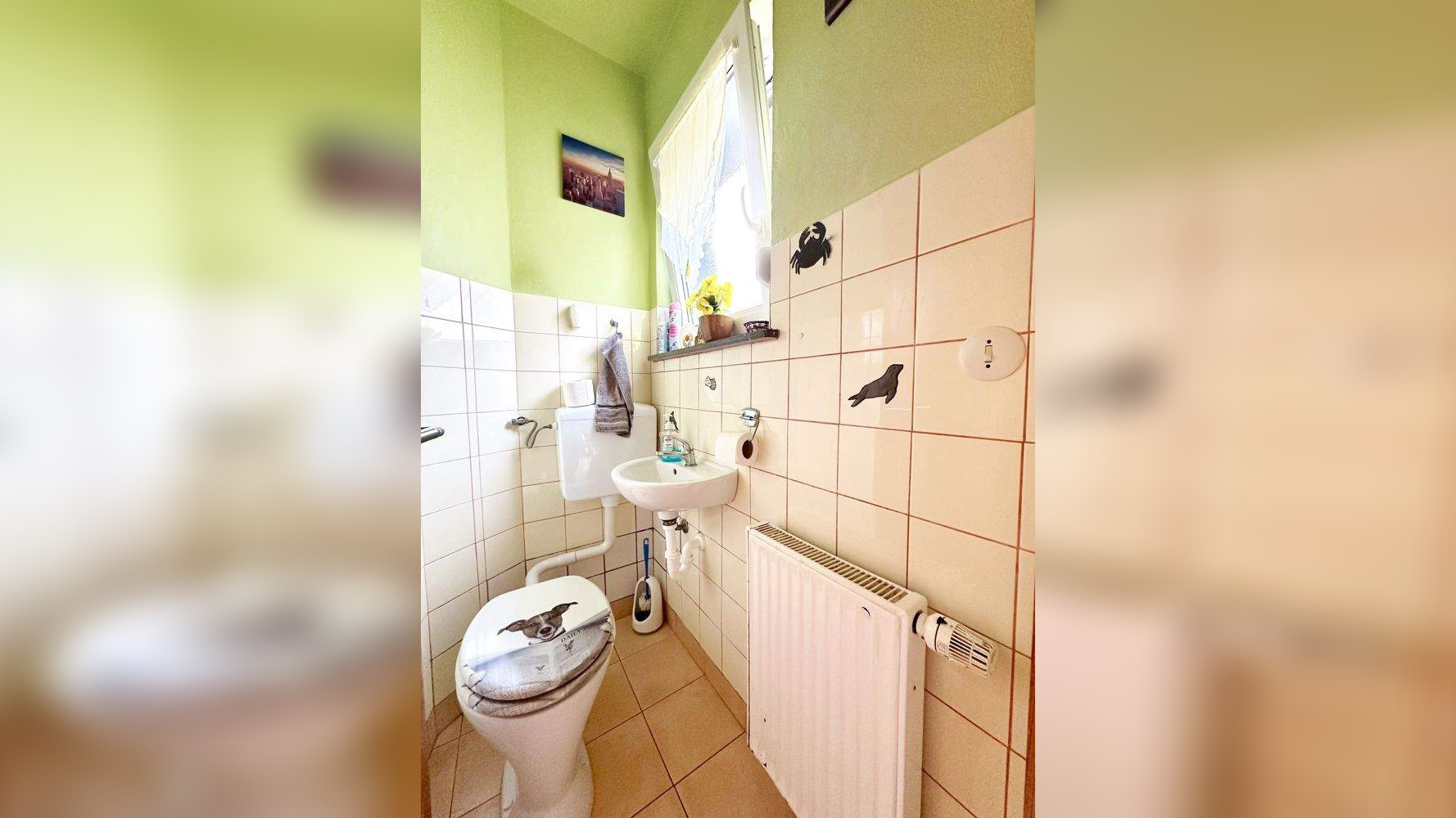 Bild 5