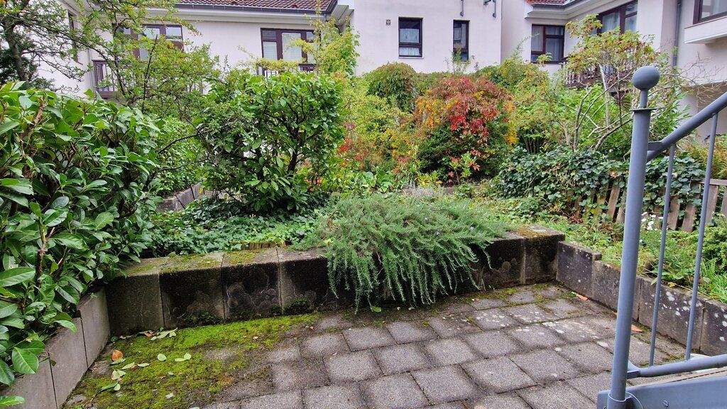 Bild 9