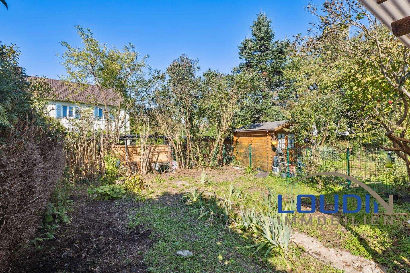 Bild 8