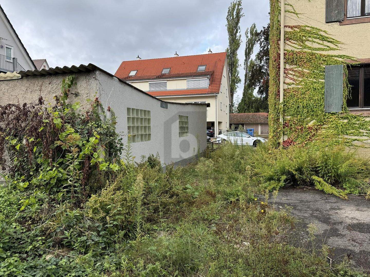 Bild 5