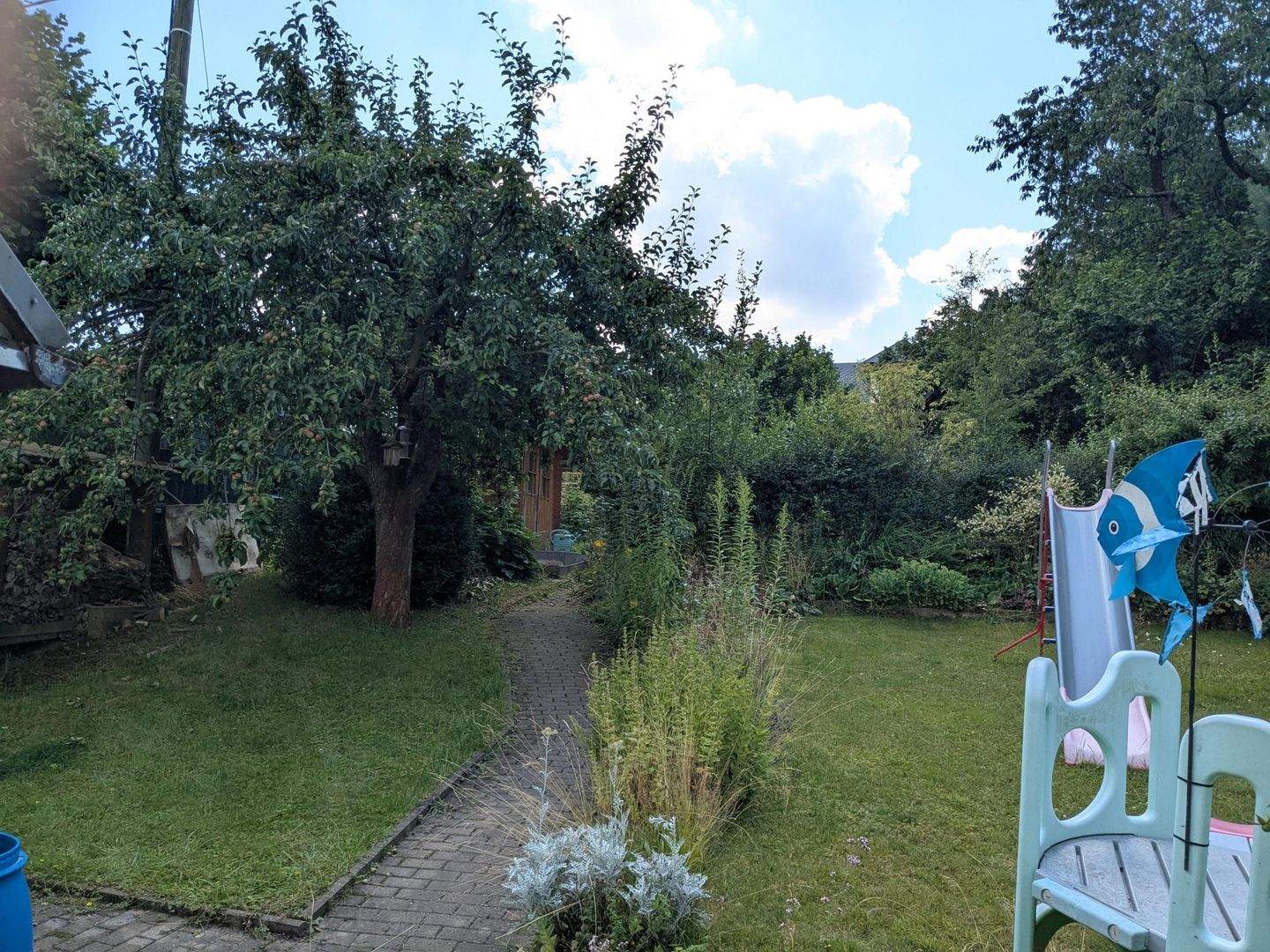 Bild 7