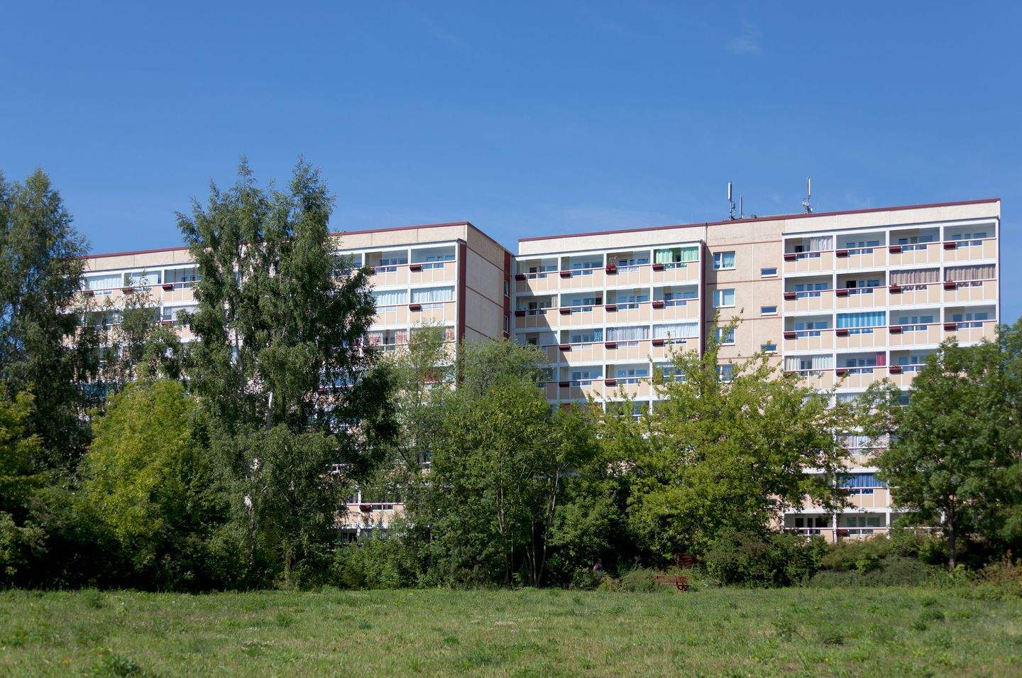 Bild 11