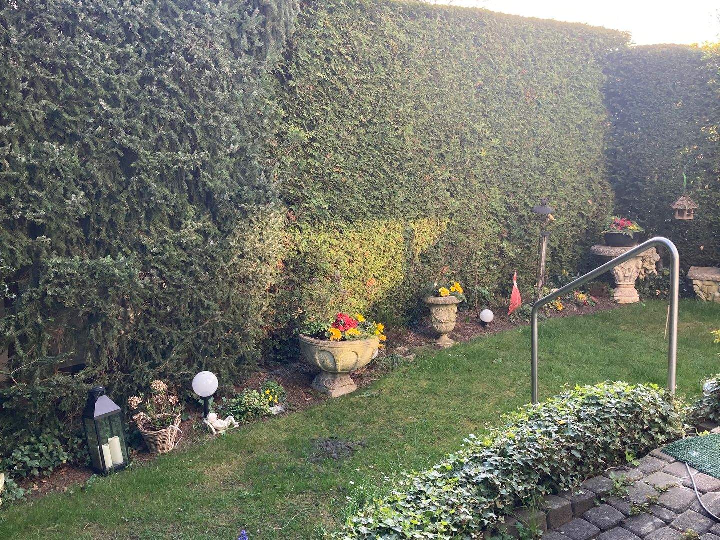 Bild 6