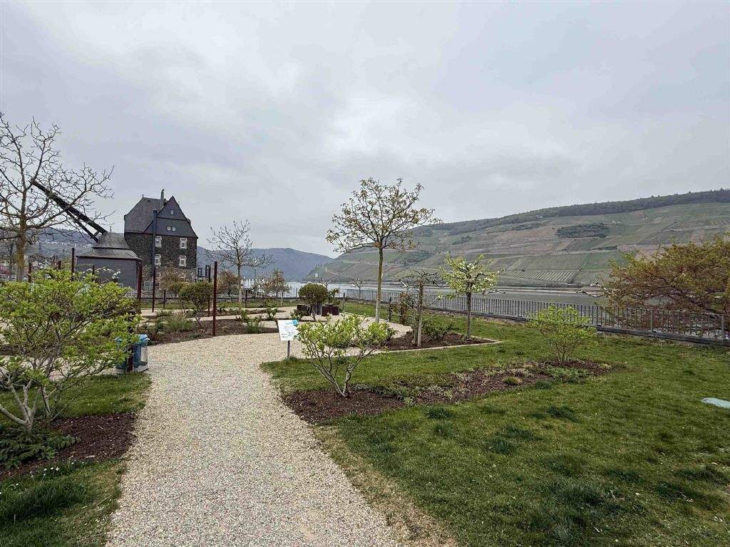 Bild 9
