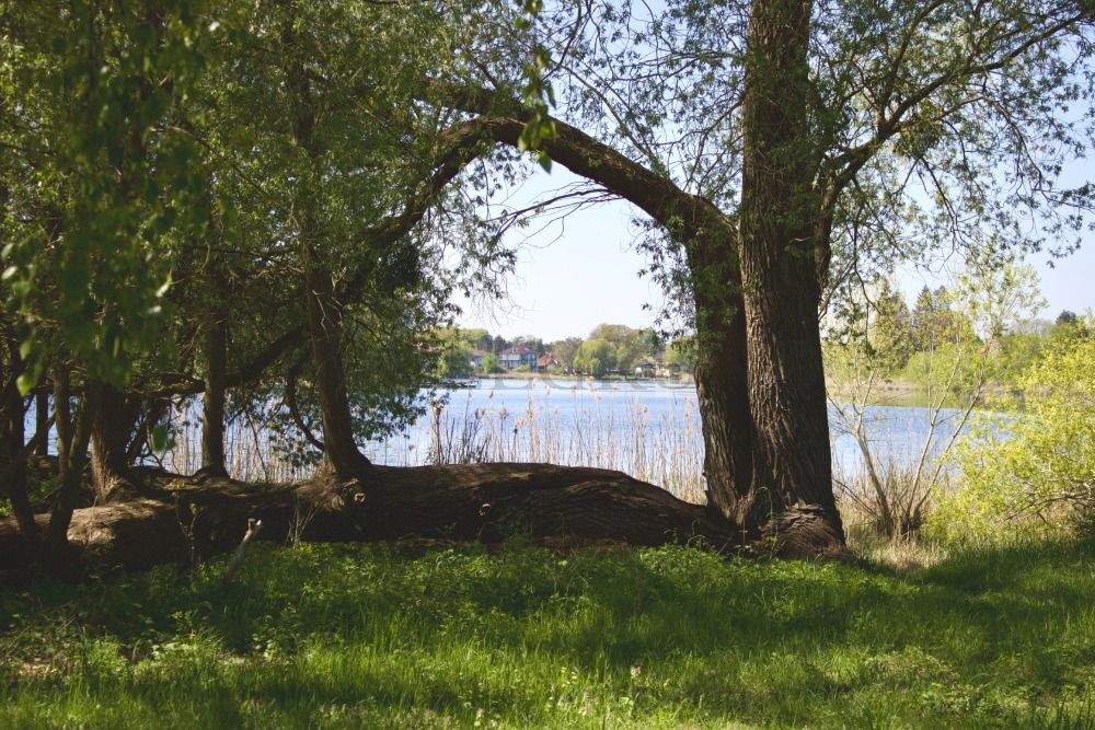 Bild 9