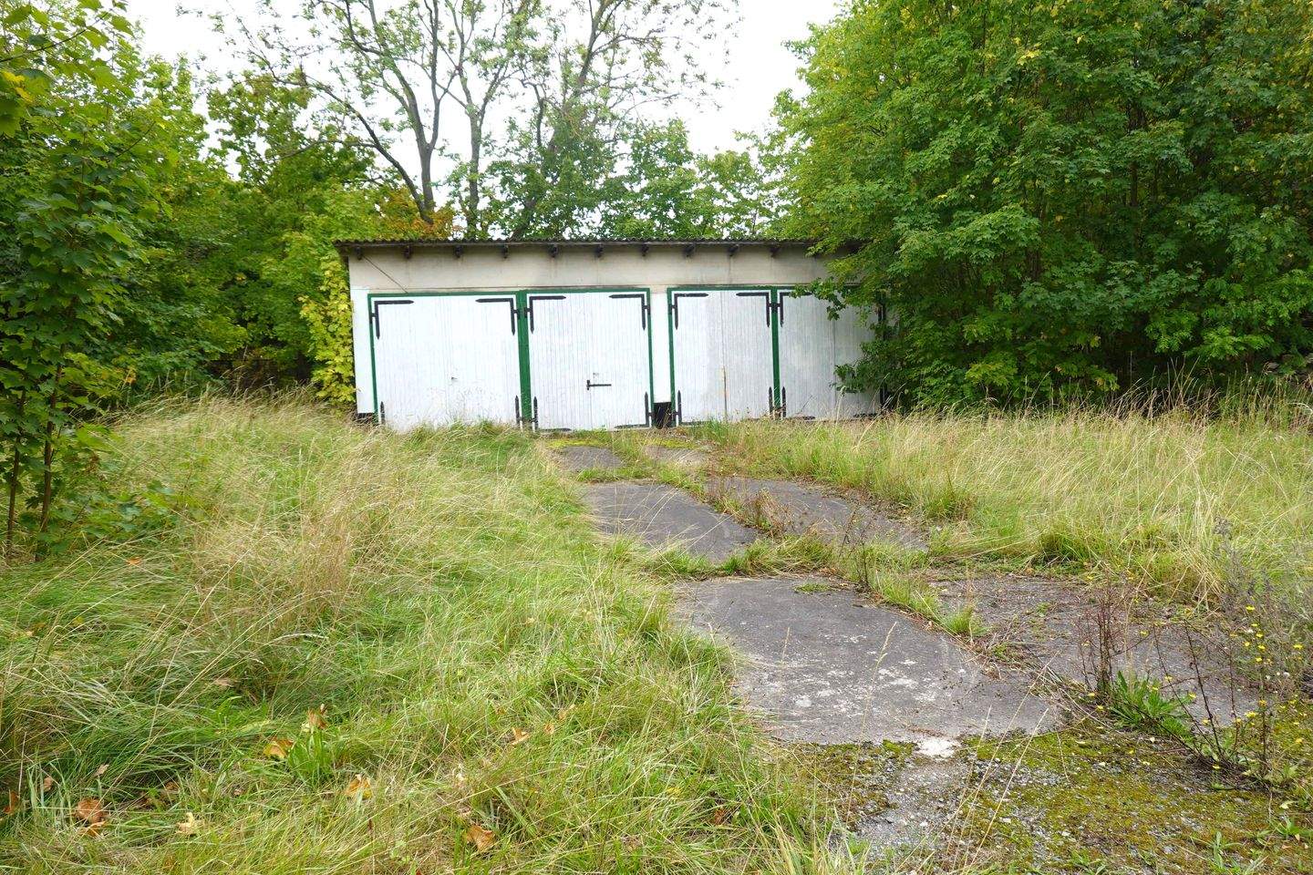 Bild 5