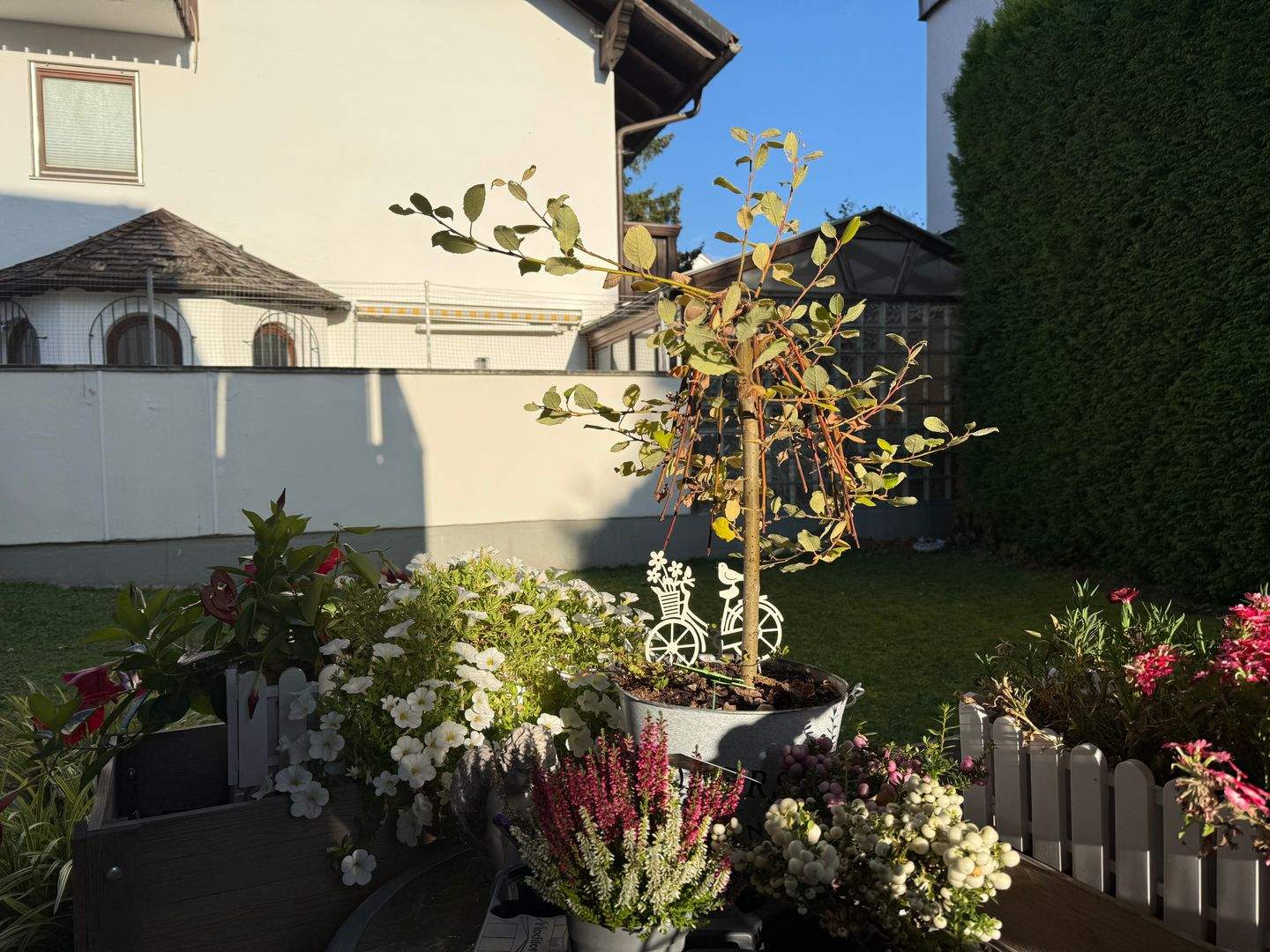 Bild 4