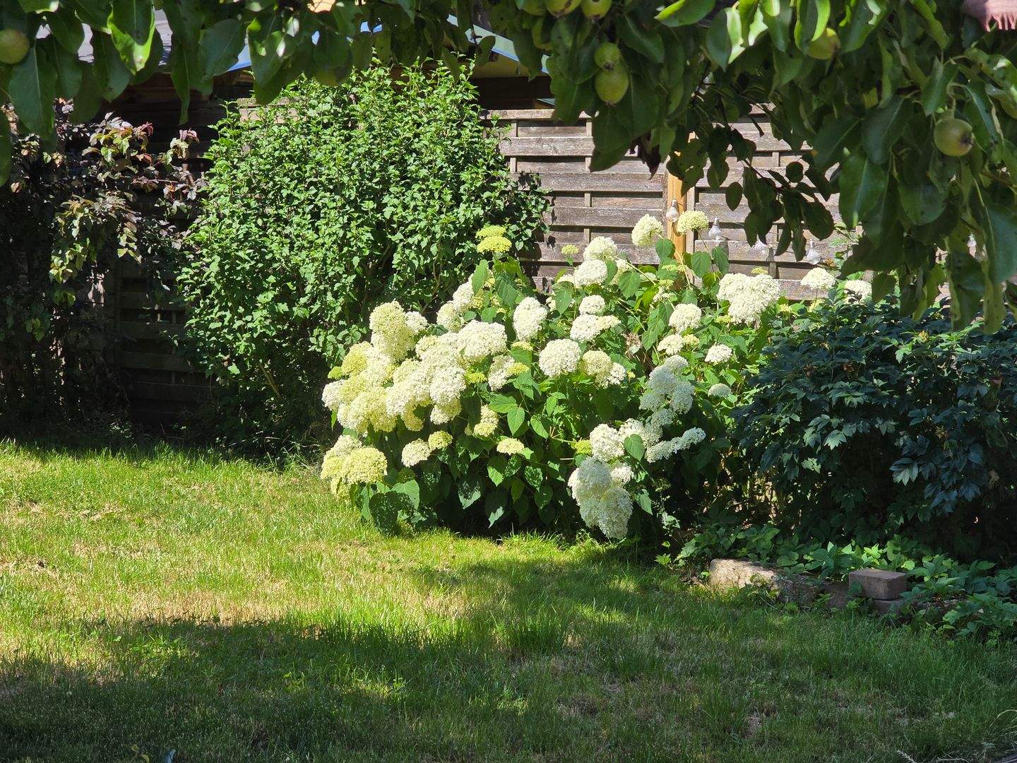 Bild 7
