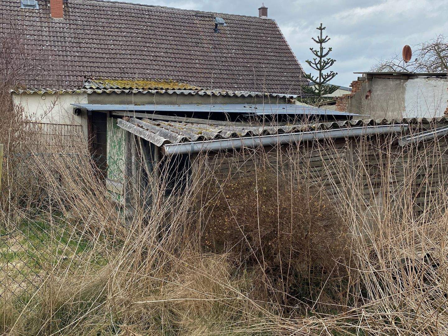 Bild 10