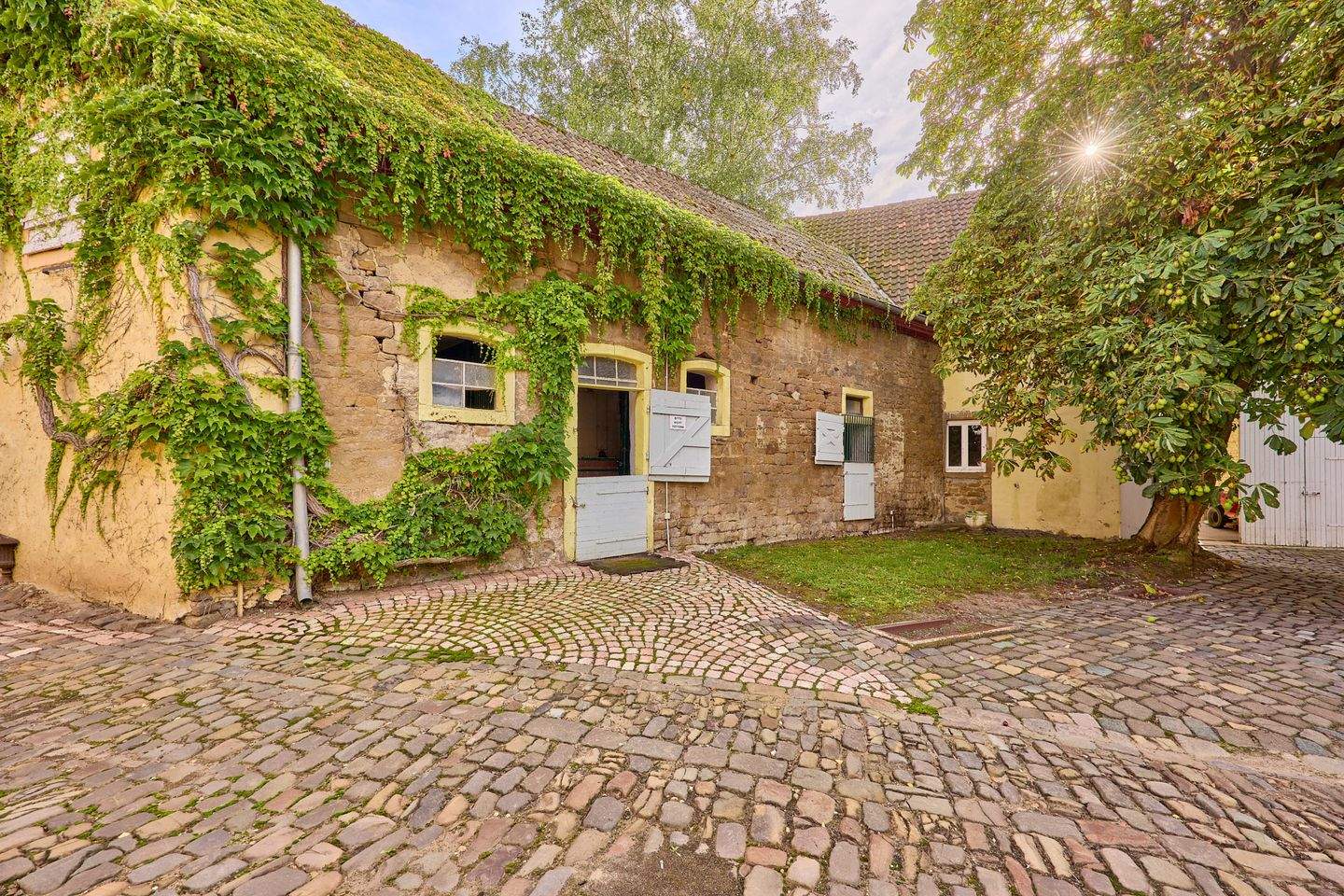 Bild 5