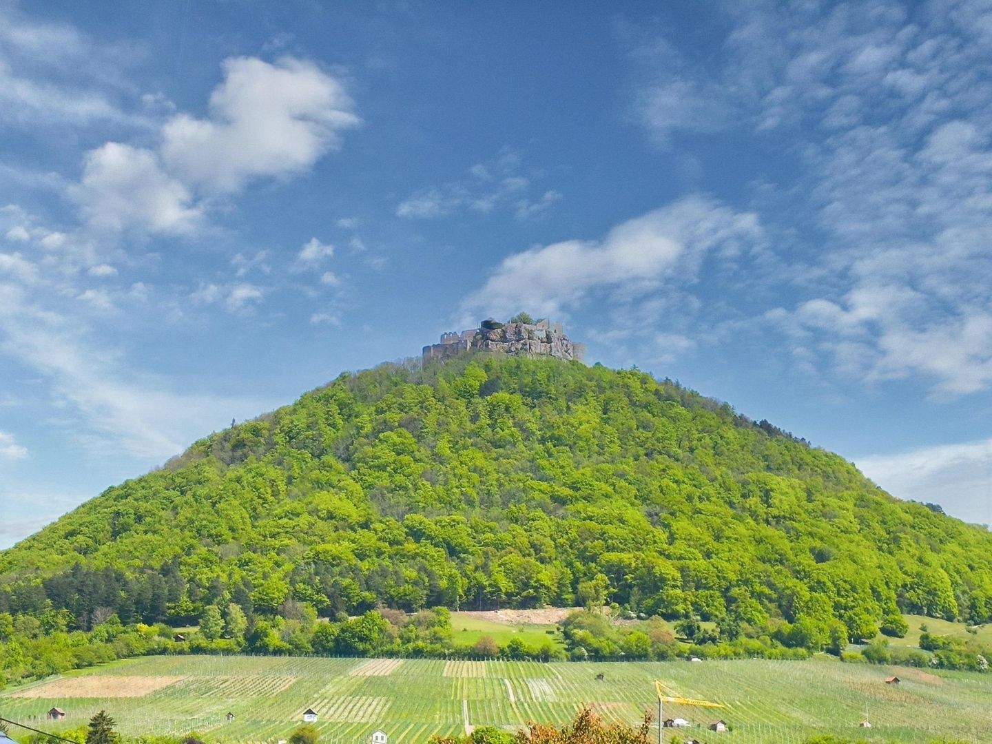 Bild 10