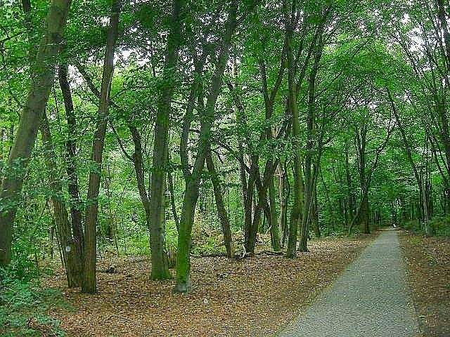 Bild 9