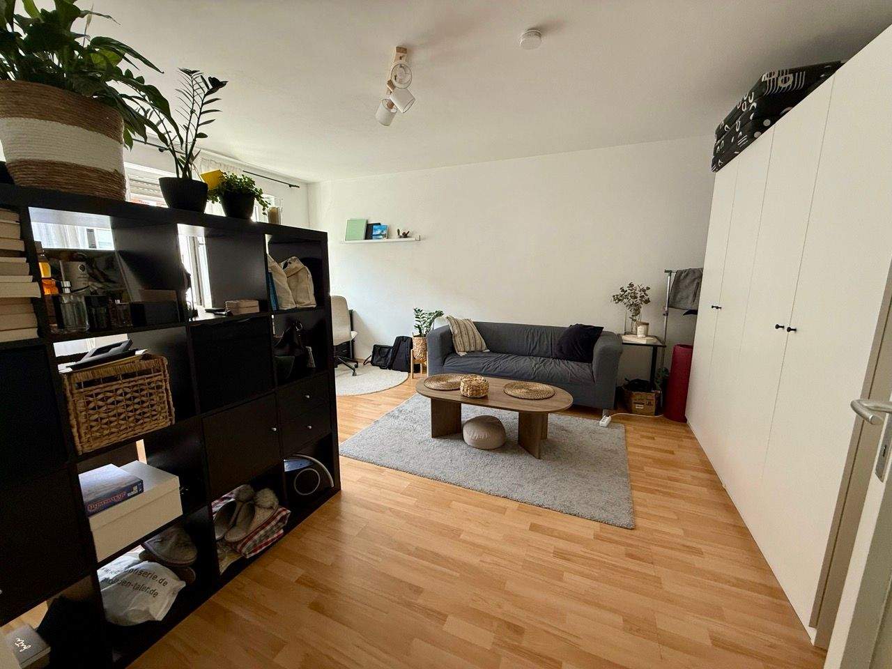 Bild 5
