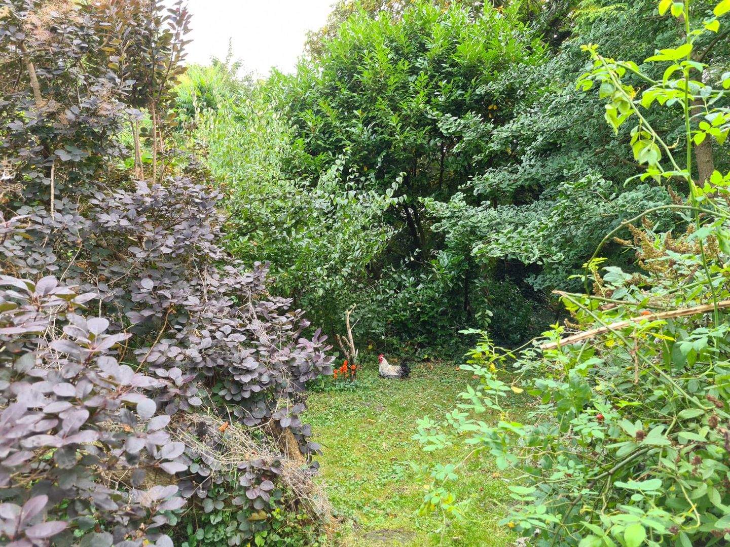 Bild 6