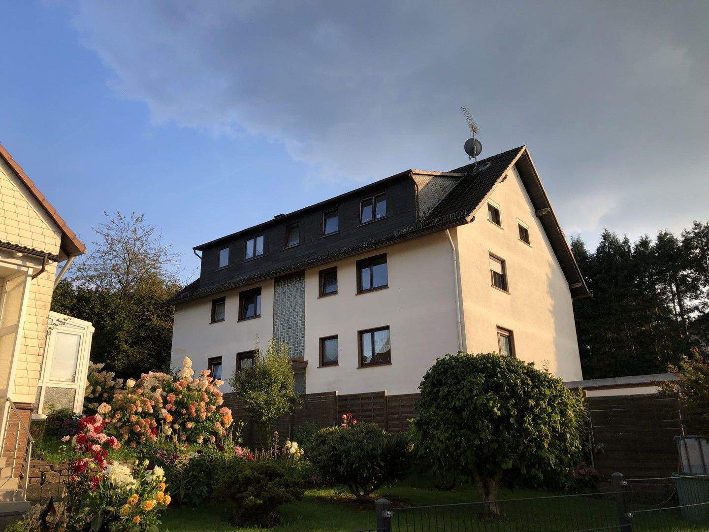 Bild 11