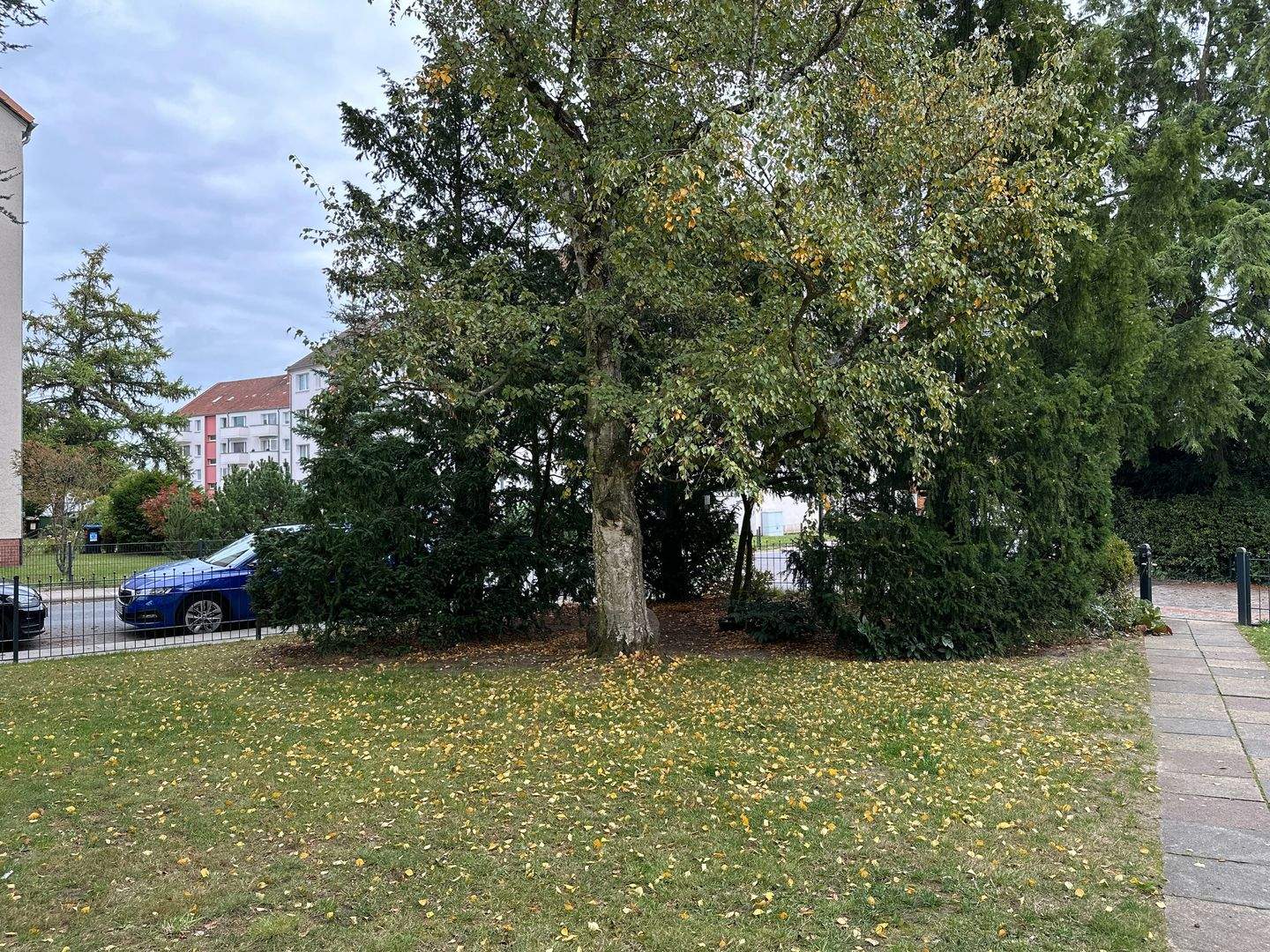 Bild 7