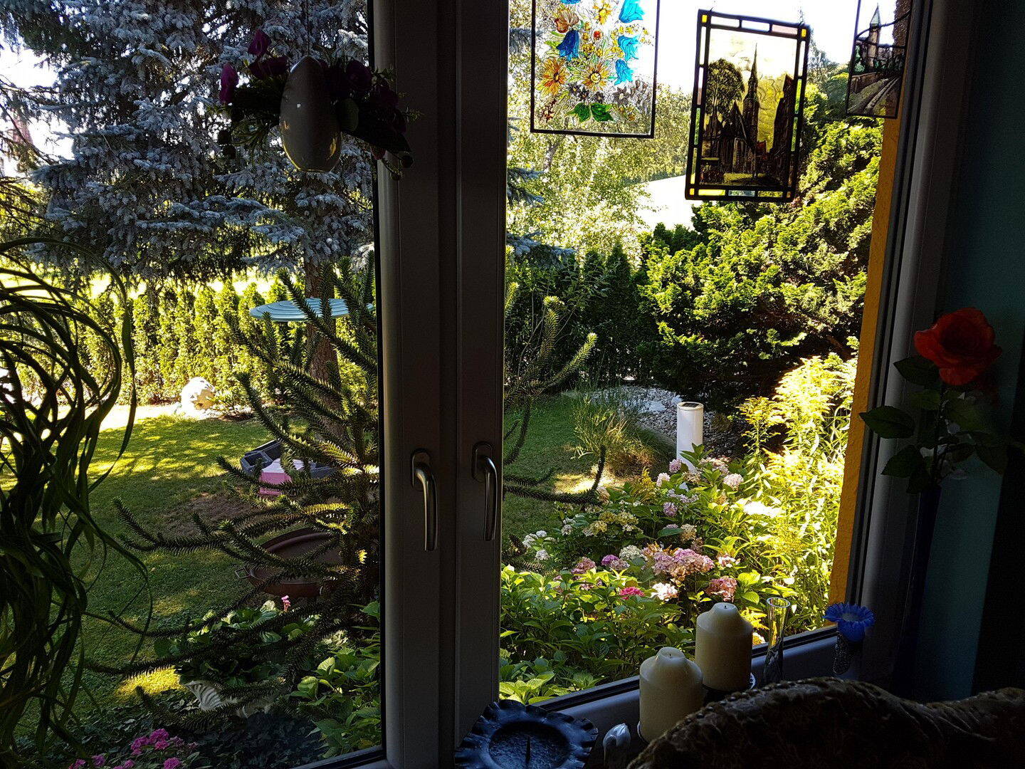 Bild 8