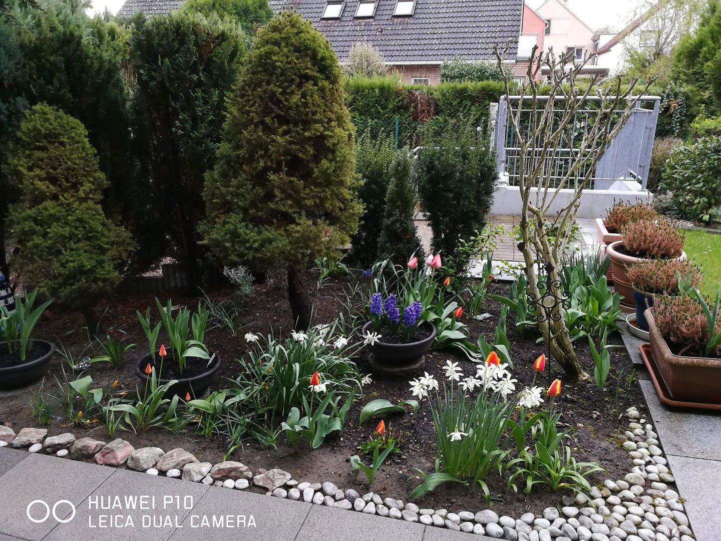 Bild 9