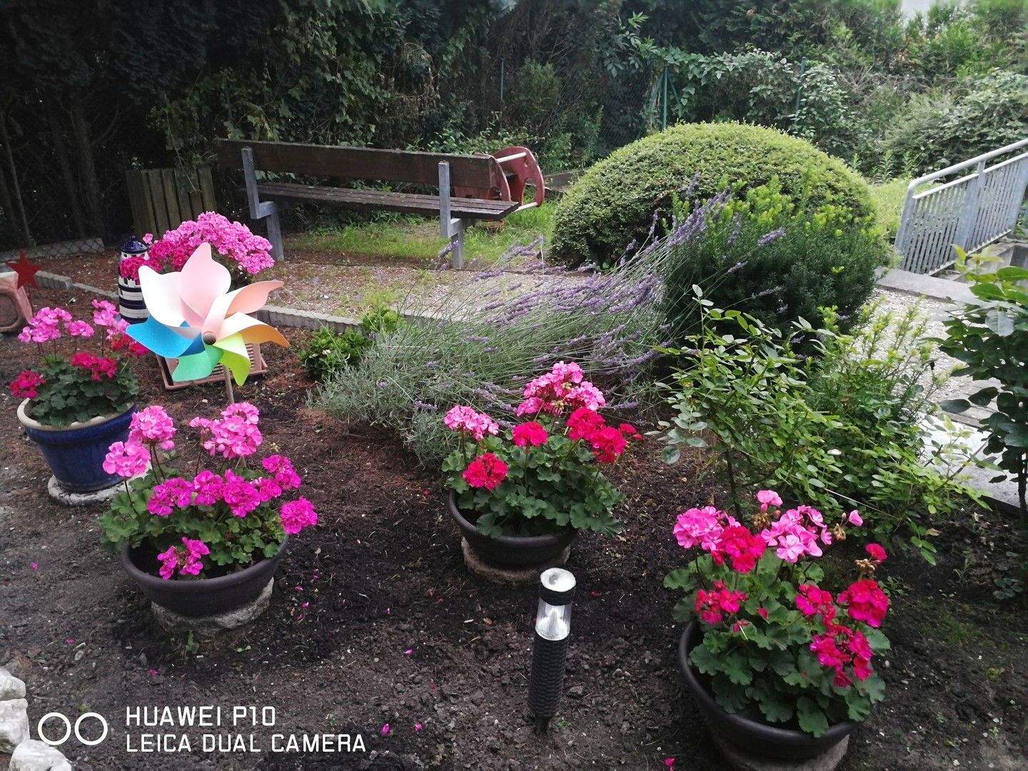 Bild 10