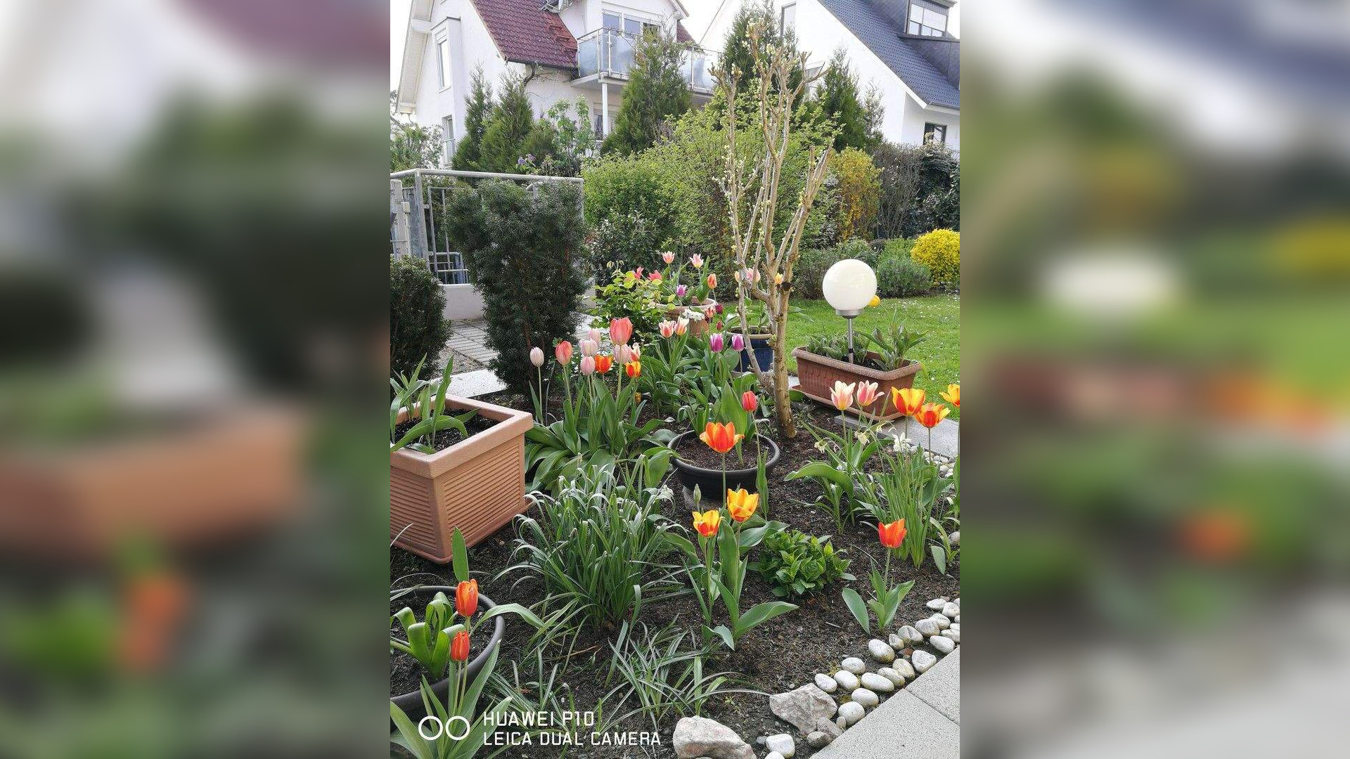 Bild 11