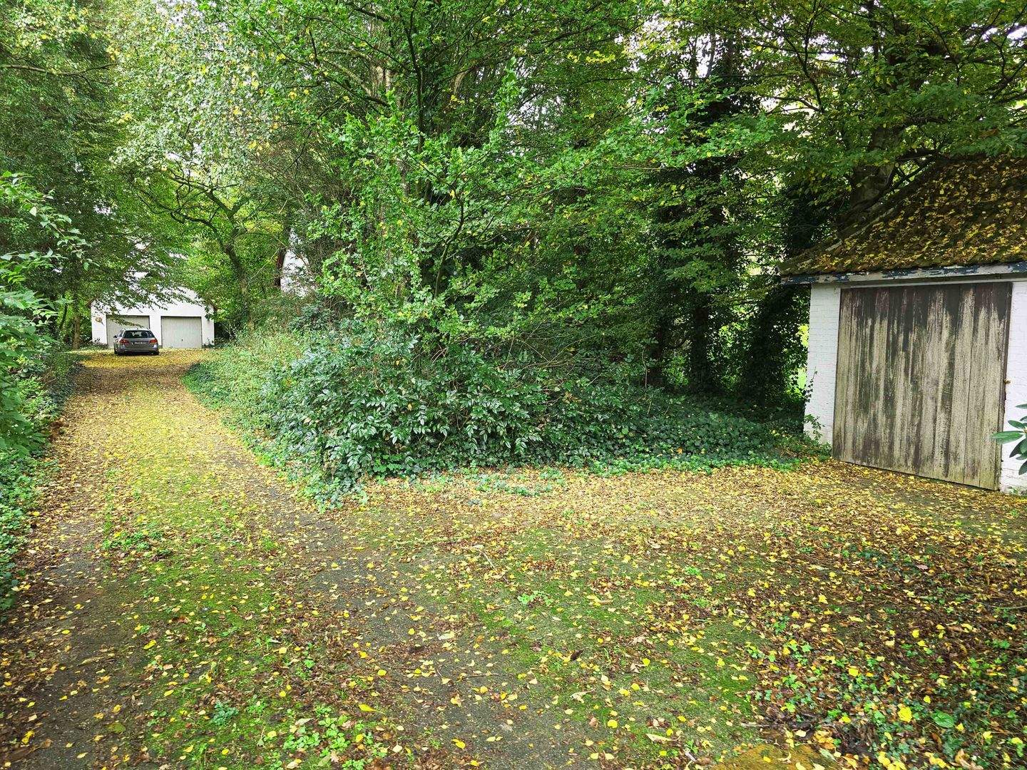 Bild 8