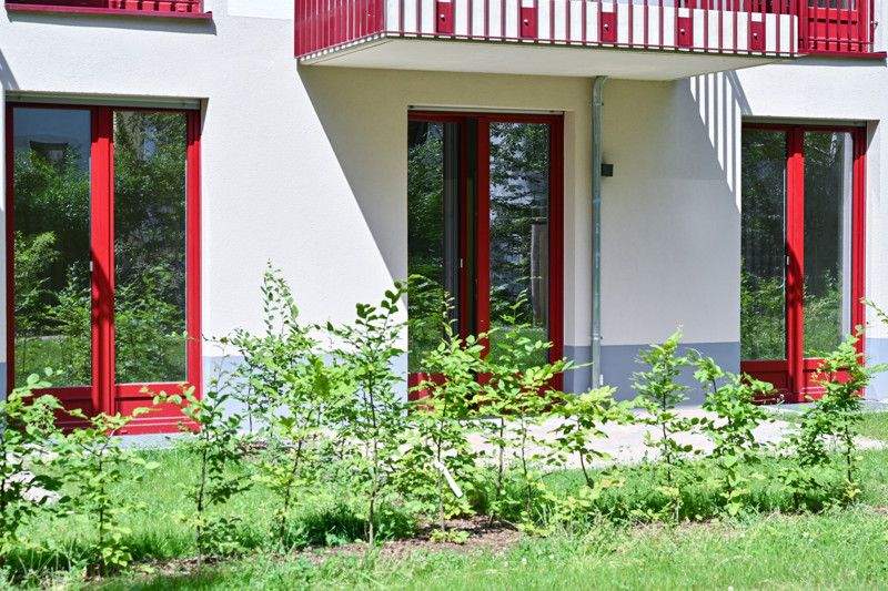 Bild 7