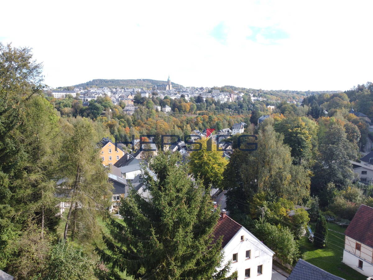 image-57332379