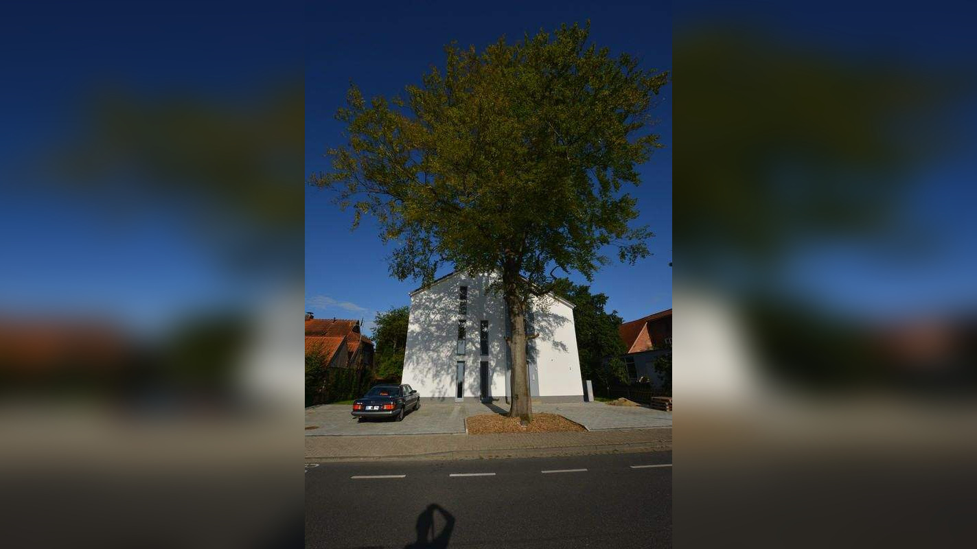 Bild 11