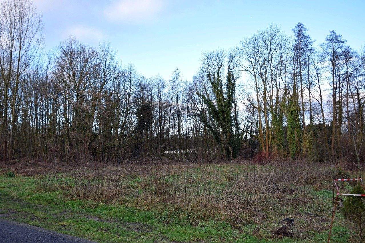 image-70184106