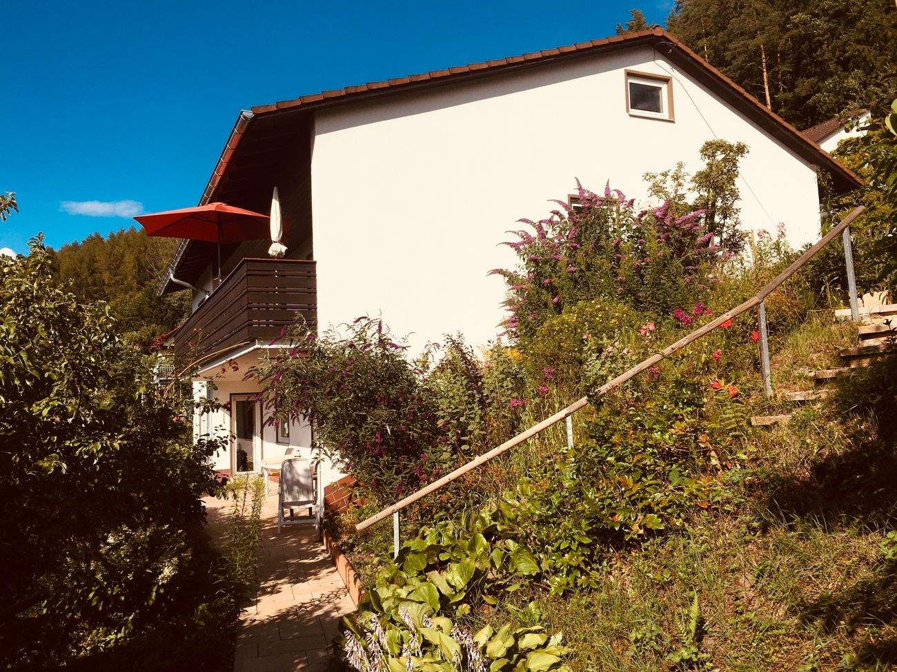 Bild 6
