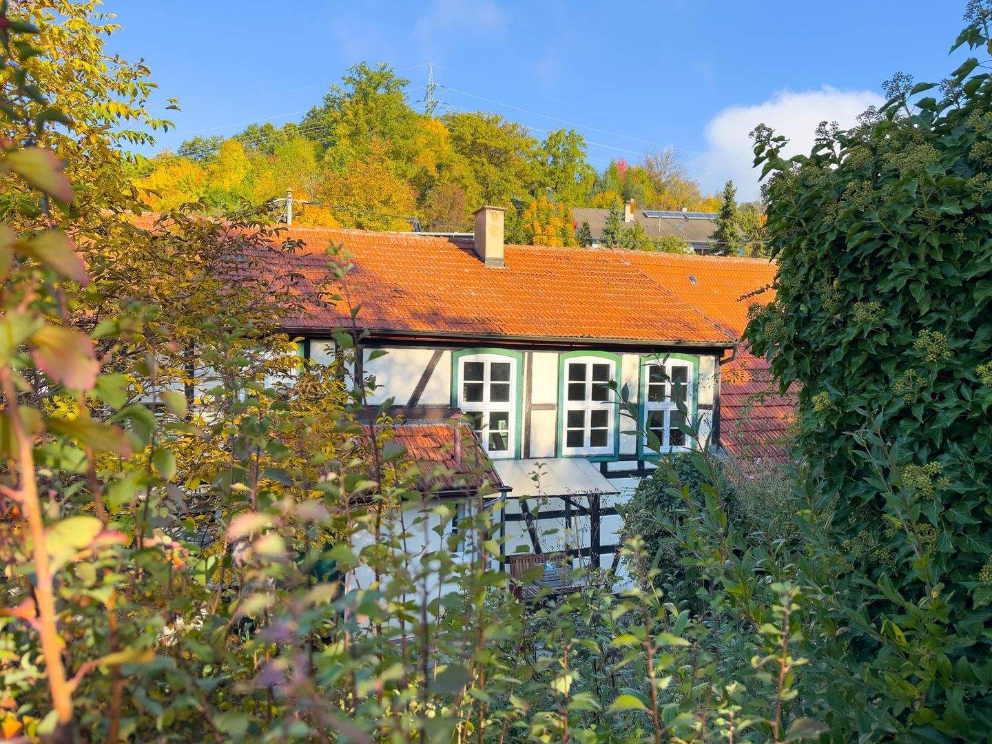 Bild 4