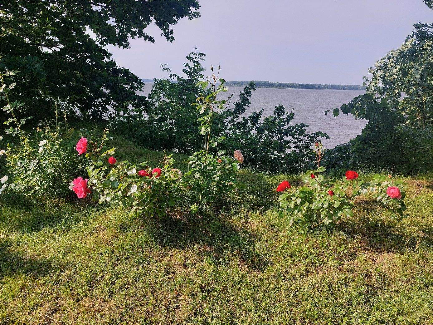 Bild 6