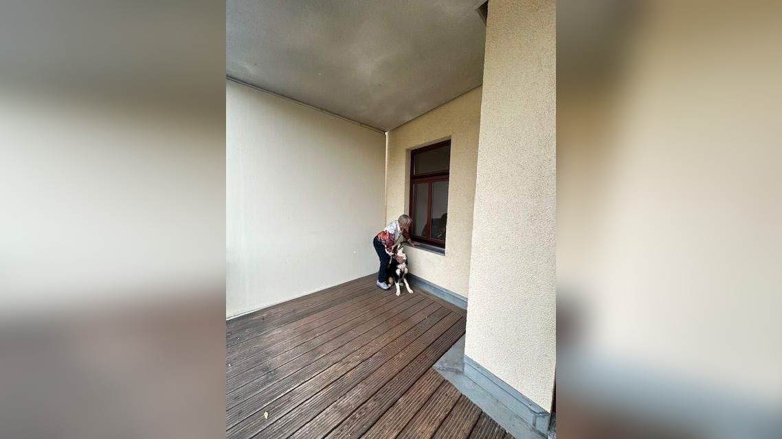 Bild 8