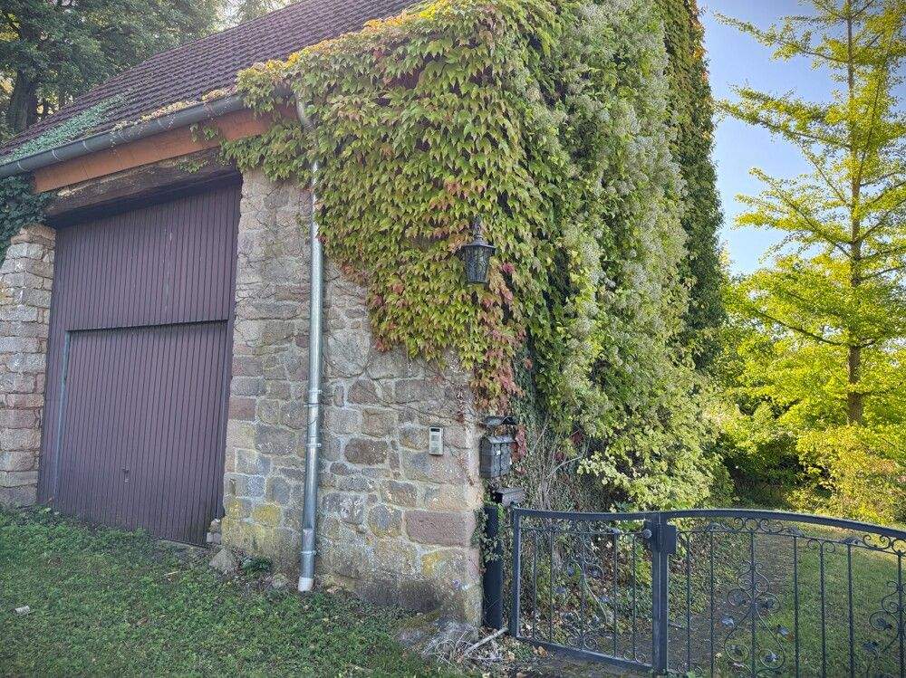 Bild 11