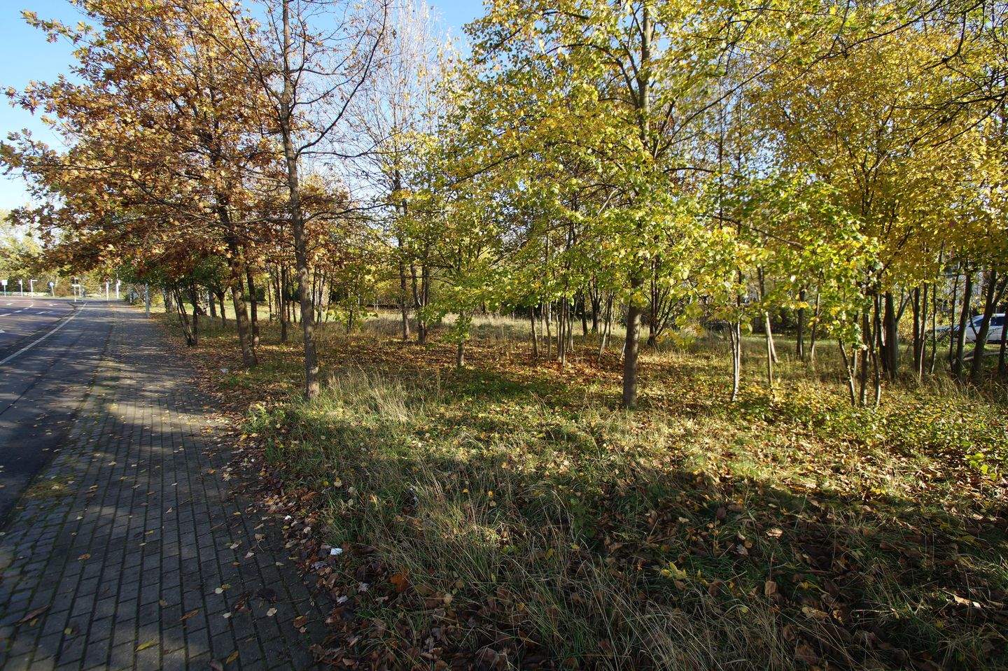 Bild 11