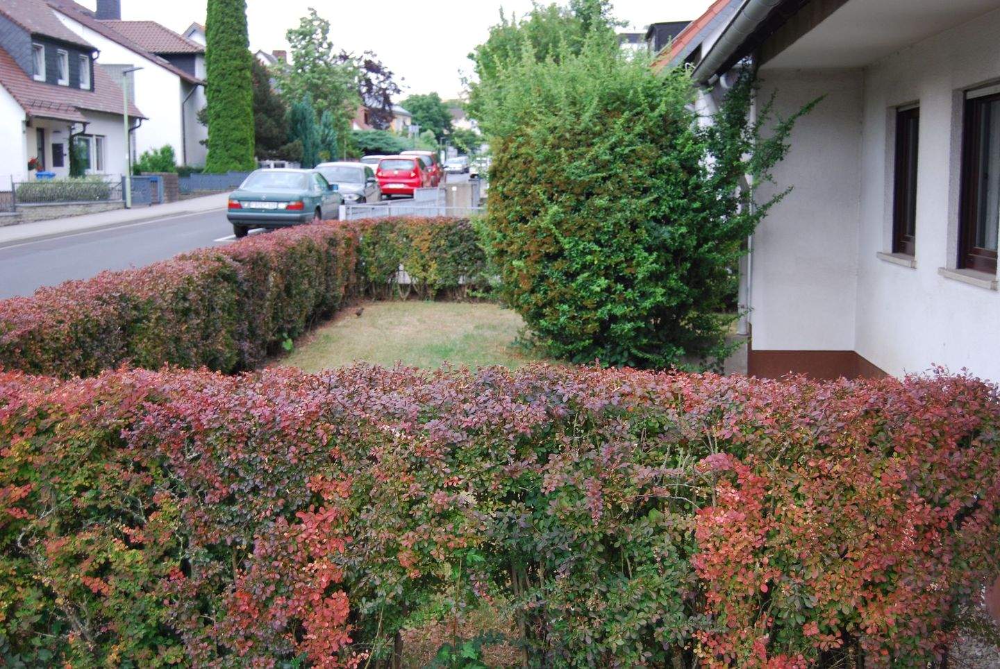 Bild 3