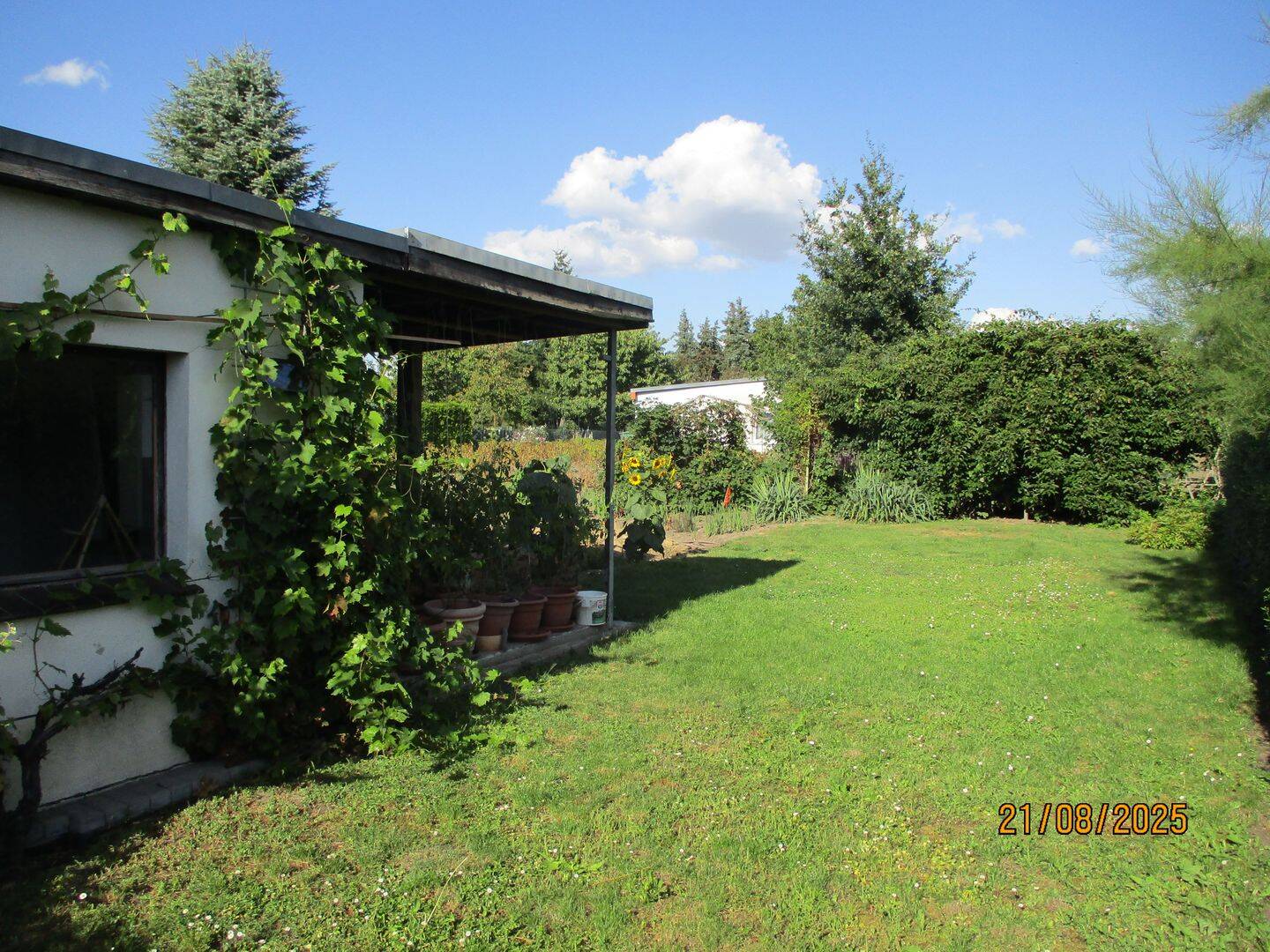 Bild 7
