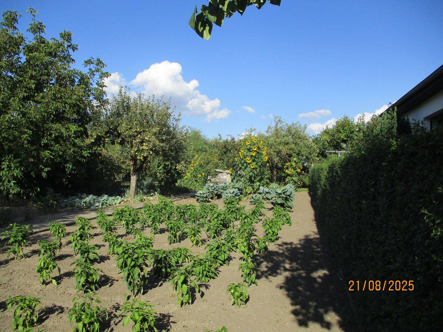 Bild 9