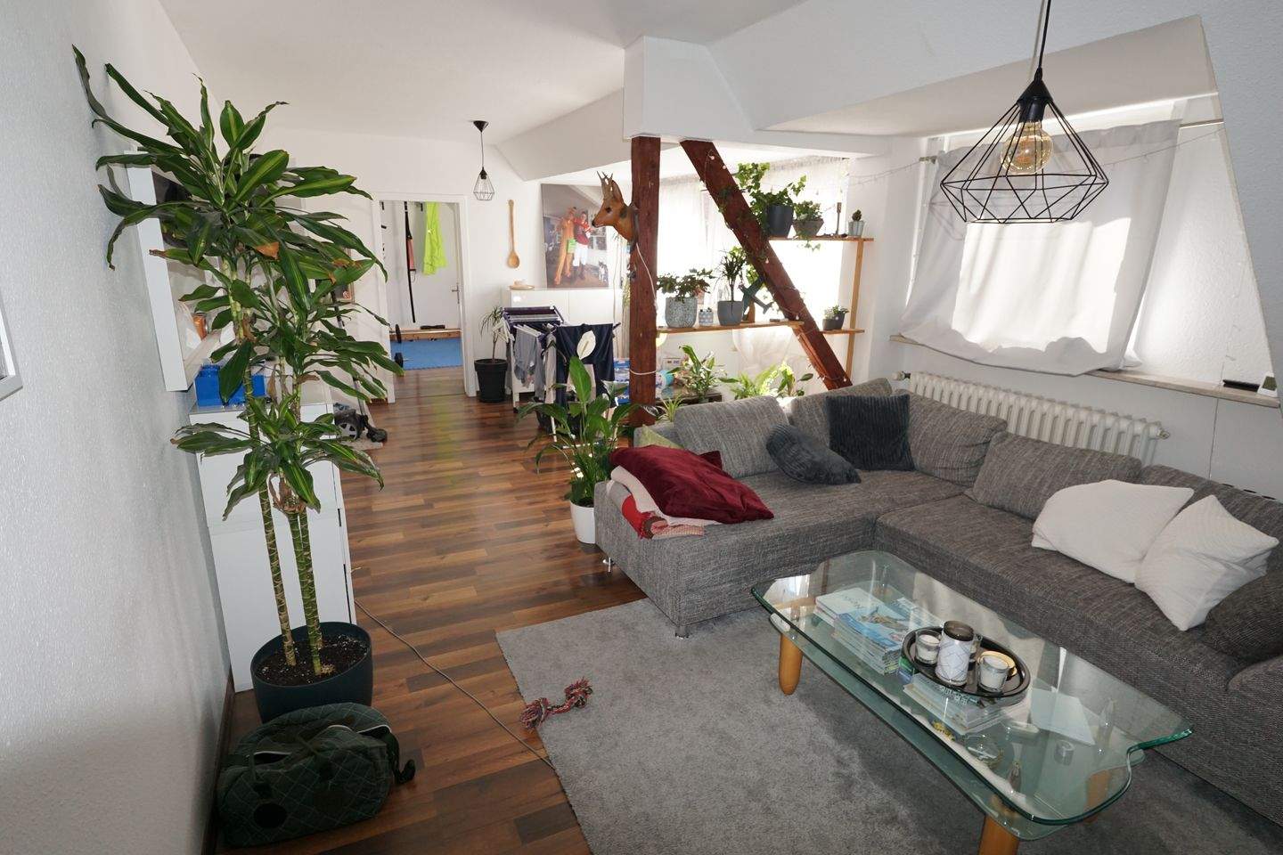 Bild 11